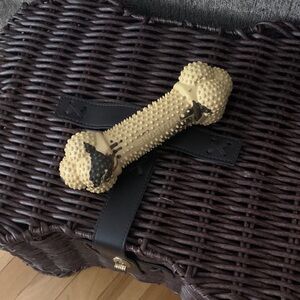 Nylabone Dog Toy size lg